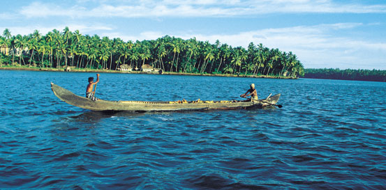 Butterflies at Kumarakom Bird Sanctuary